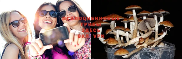 стаф Баксан