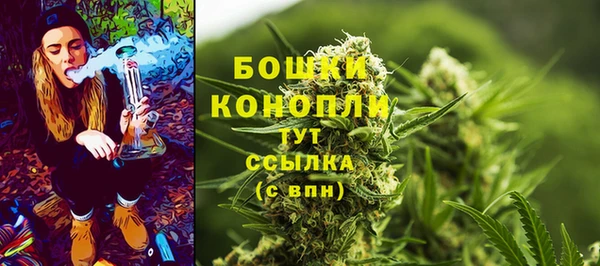 шишки Беломорск