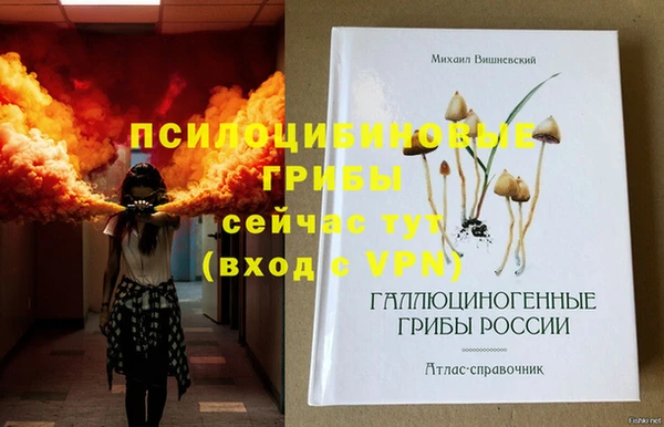 apvp Белокуриха