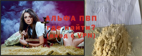 стаф Баксан